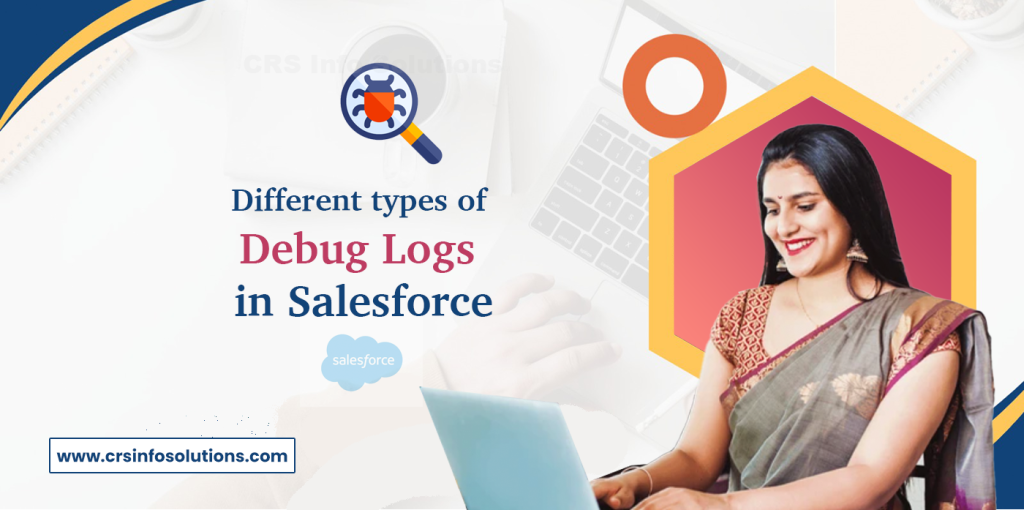 Different types of Debug Logs in Salesforce