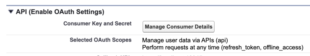 API(Enable Outh Setting)