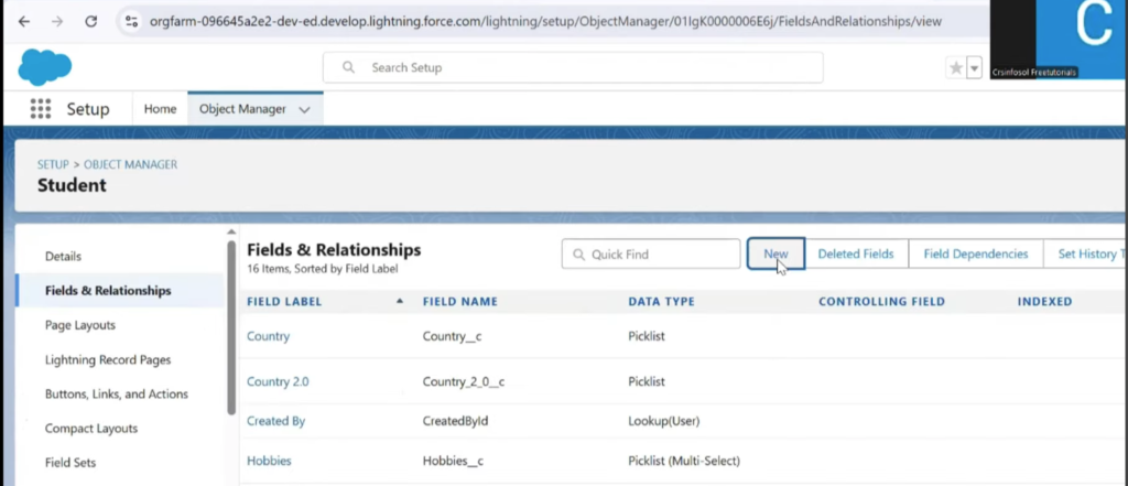 RollUp_Summary_Tutorial_4