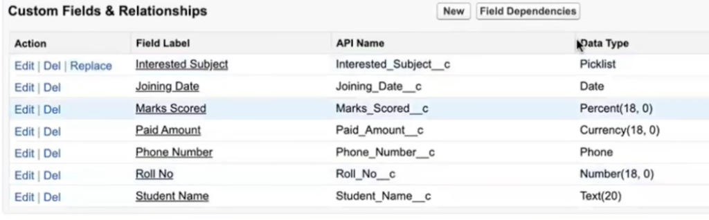 data-types-in-salesforce-08