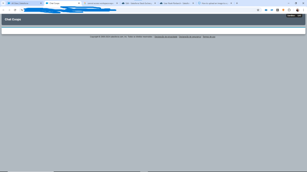 Can’t Access Experience Cloud Workspace/Login