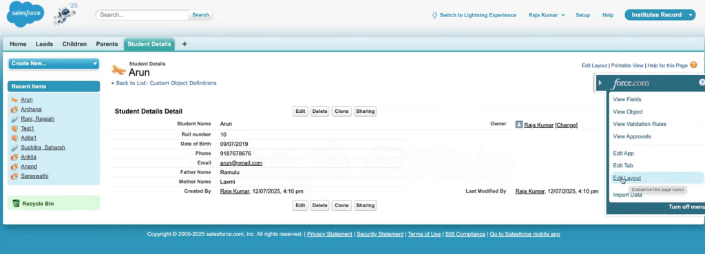 Page_layout_in_Salesforce_10