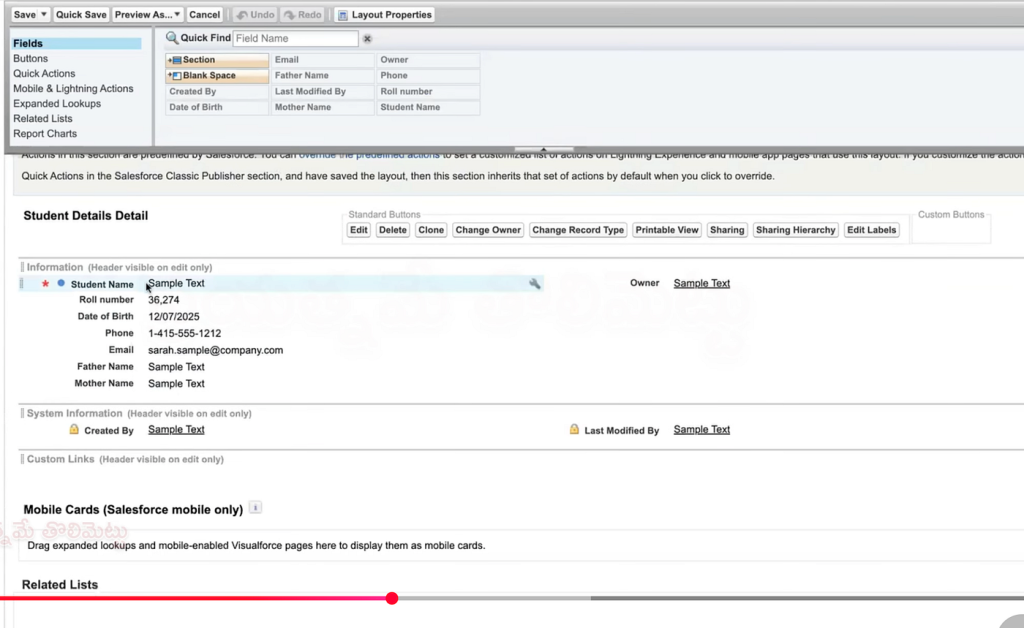 Page_layout_in_Salesforce_11
