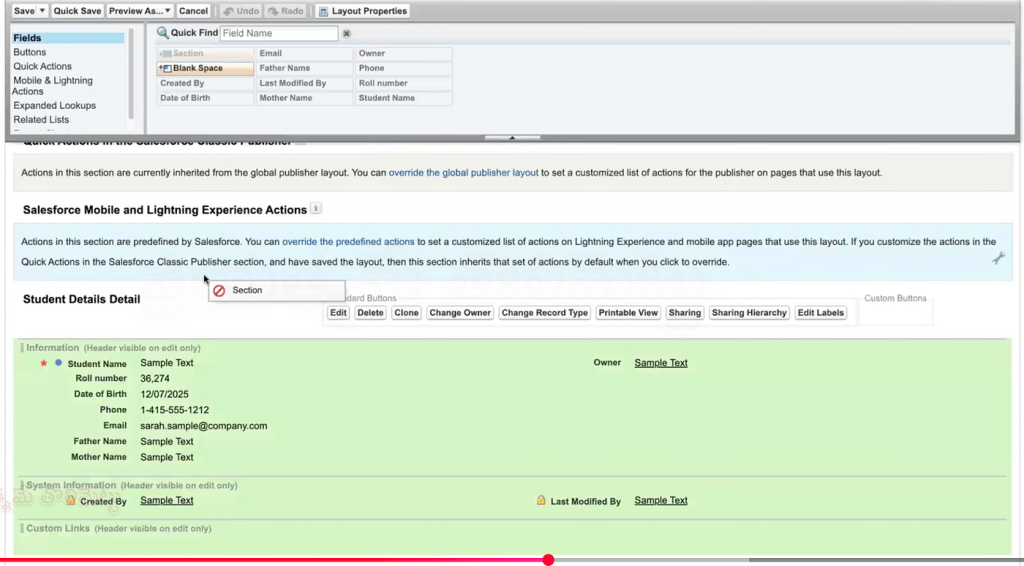 Page_layout_in_Salesforce_12