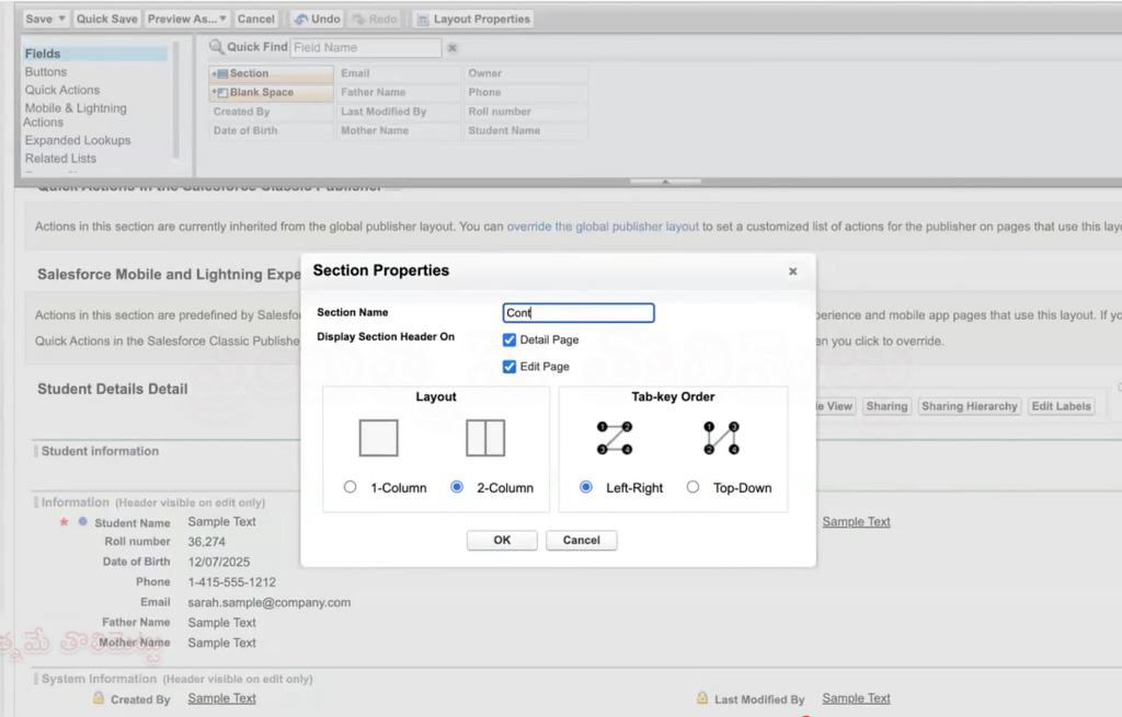 Page_layout_in_Salesforce_13