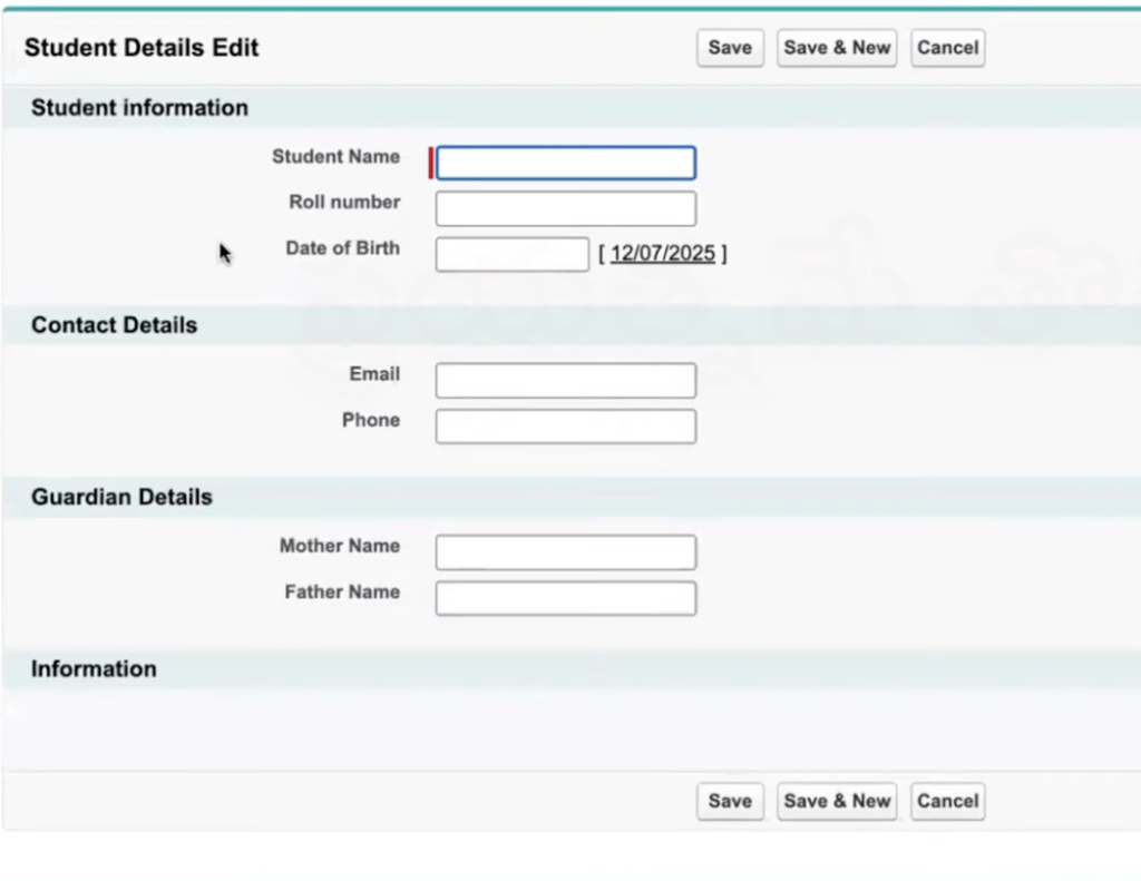 Page_layout_in_Salesforce_15
