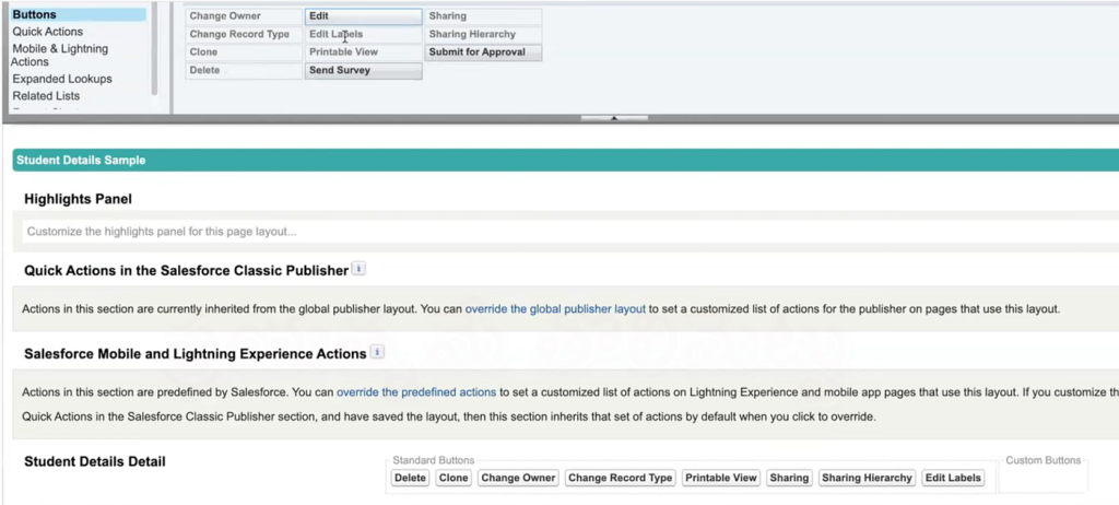 Page_layout_in_Salesforce_17