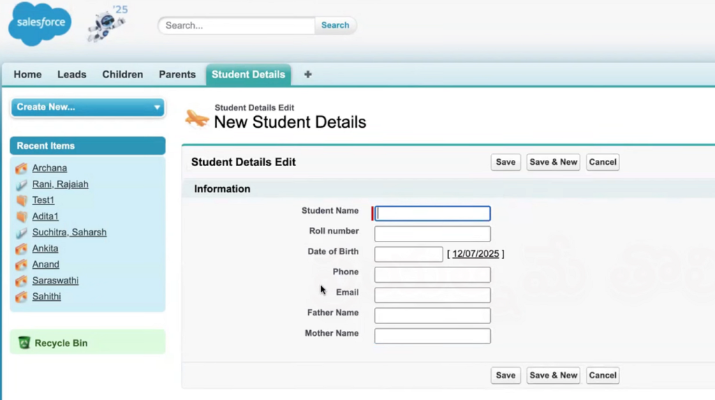 Page_layout_in_Salesforce_7