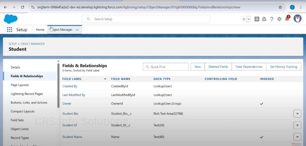 Picklist_MultiselectPicklist_Tutorial_03