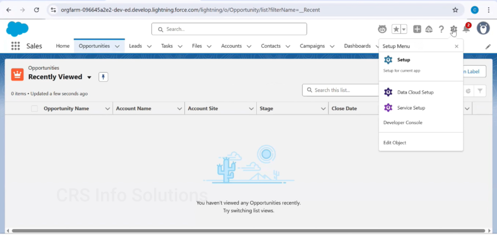 Picklist_MultiselectPicklist_Tutorial_04
