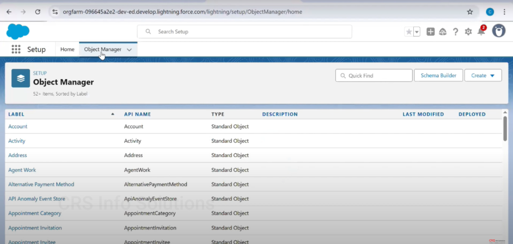 Picklist_MultiselectPicklist_Tutorial_06