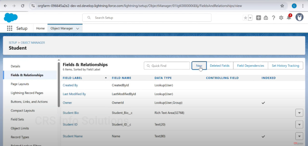 Picklist_MultiselectPicklist_Tutorial_08