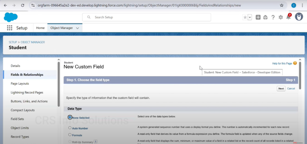 Picklist_MultiselectPicklist_Tutorial_09