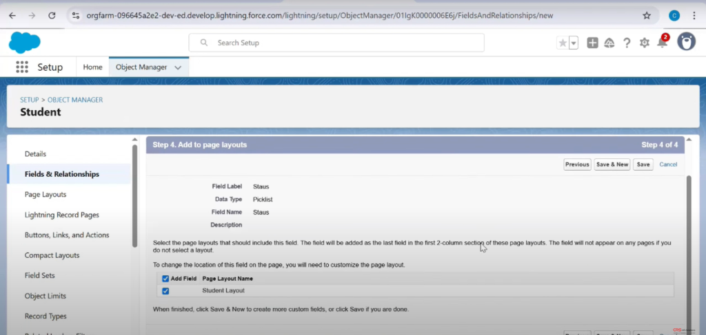 Picklist_MultiselectPicklist_Tutorial_13