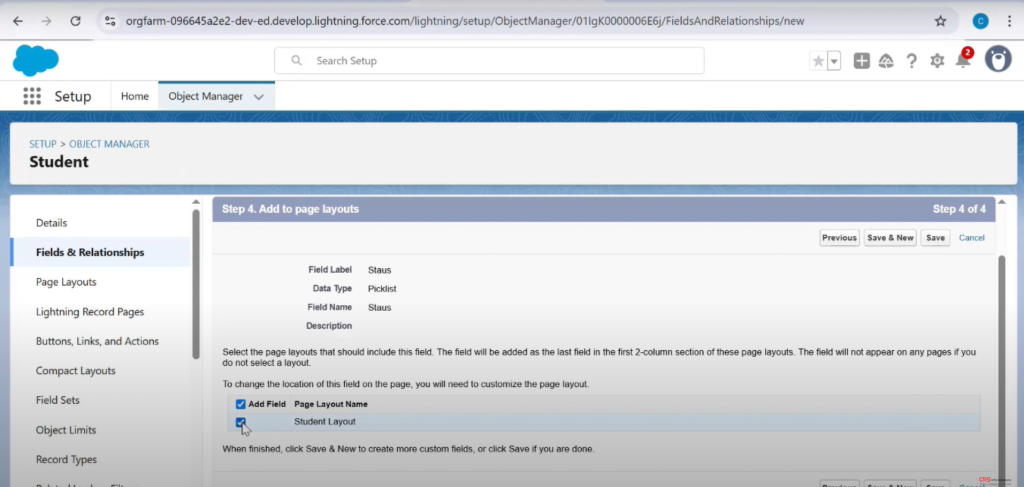 Picklist_MultiselectPicklist_Tutorial_14
