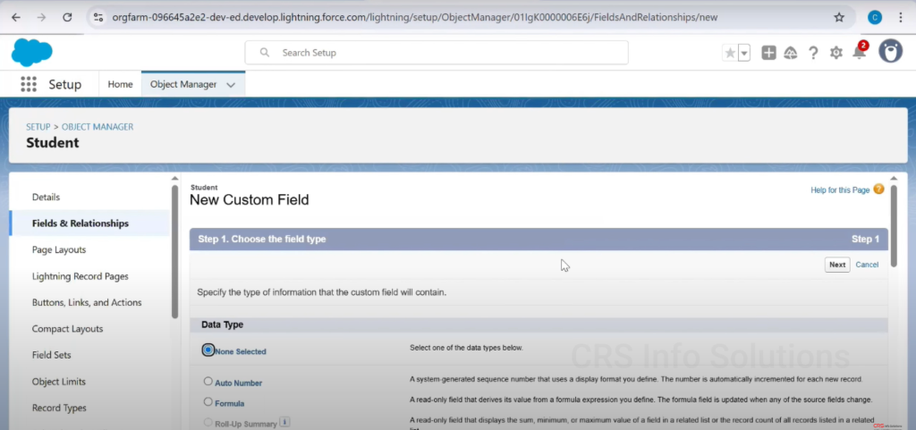 Picklist_MultiselectPicklist_Tutorial_24