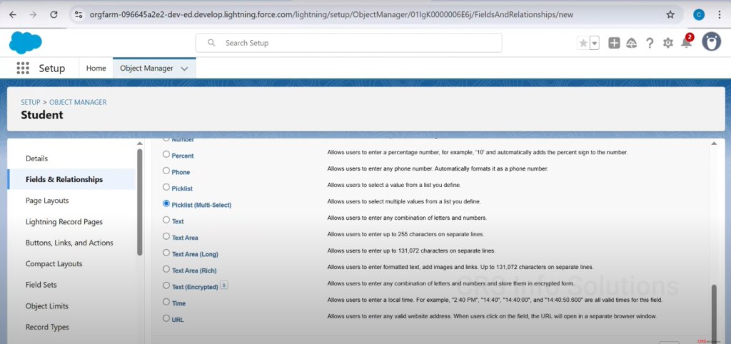 Picklist_MultiselectPicklist_Tutorial_25