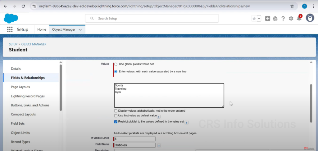 Picklist_MultiselectPicklist_Tutorial_26