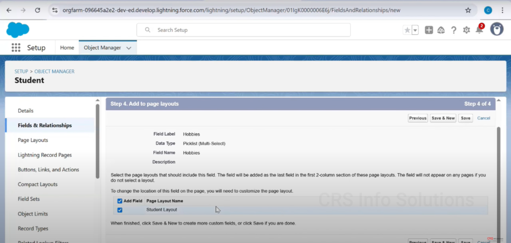Picklist_MultiselectPicklist_Tutorial_28