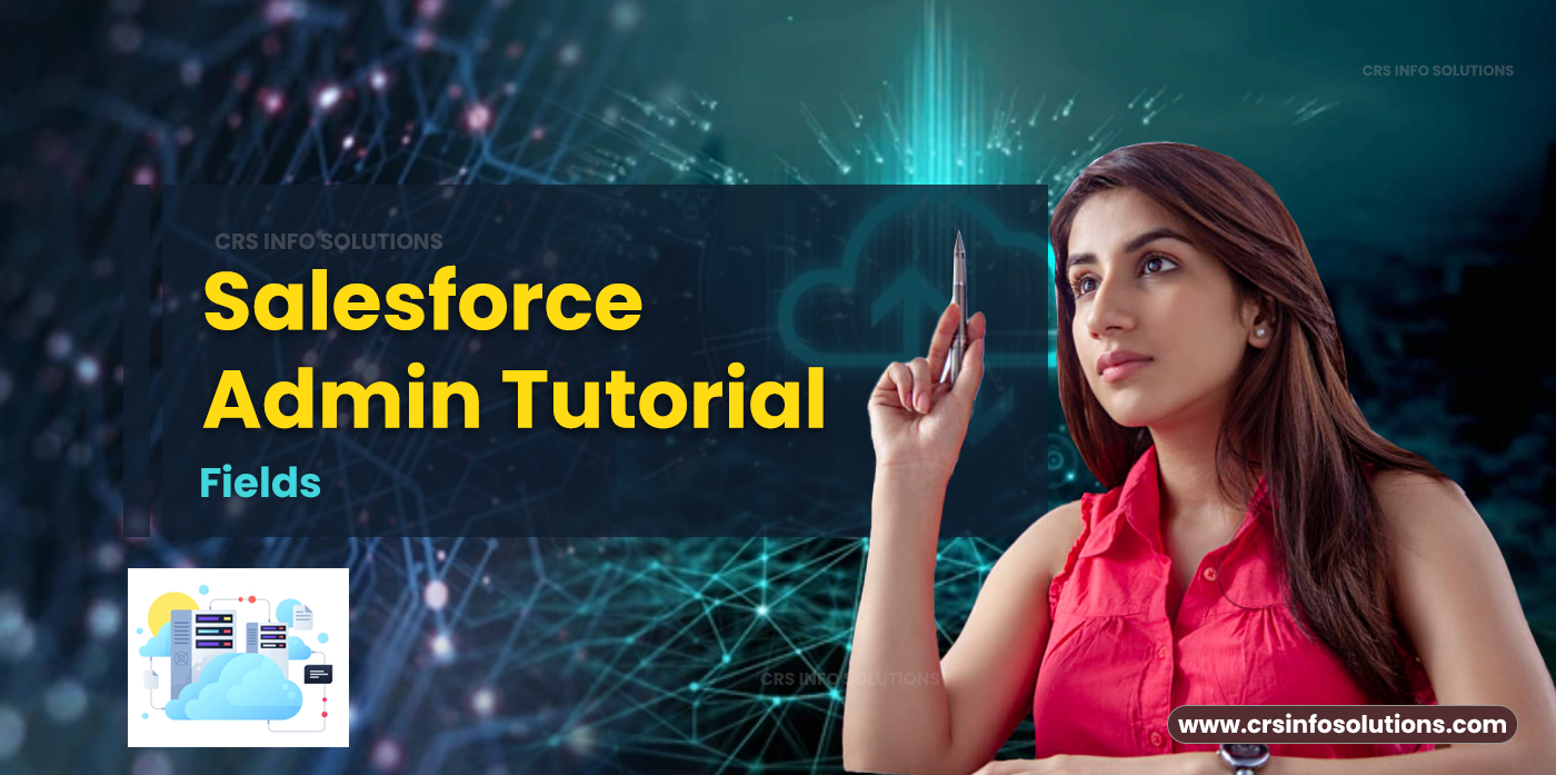 Fields - Salesforce Admin Tutorial