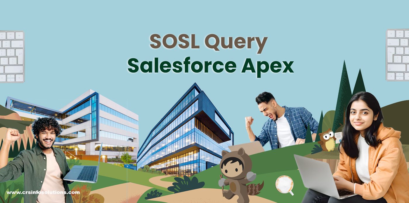 SOSL Query Salesforce Apex