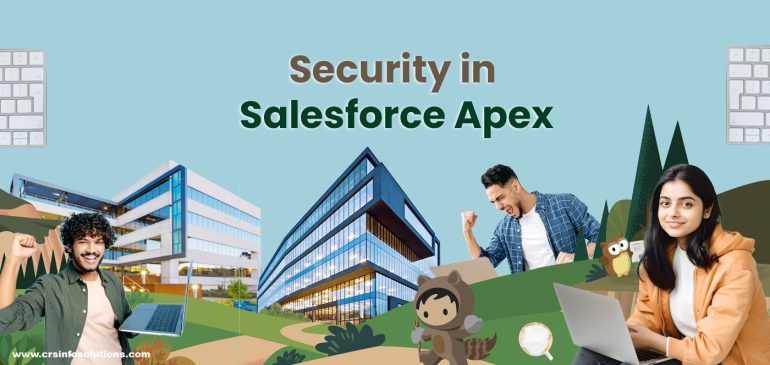 Security in Salesforce Apex