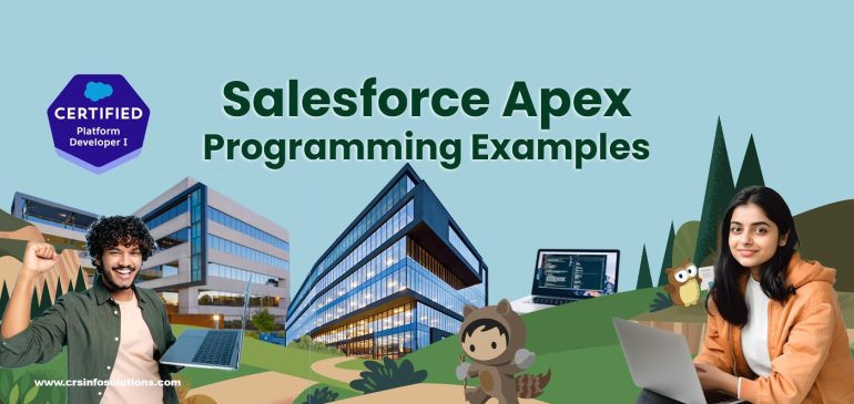Apex programming Examples
