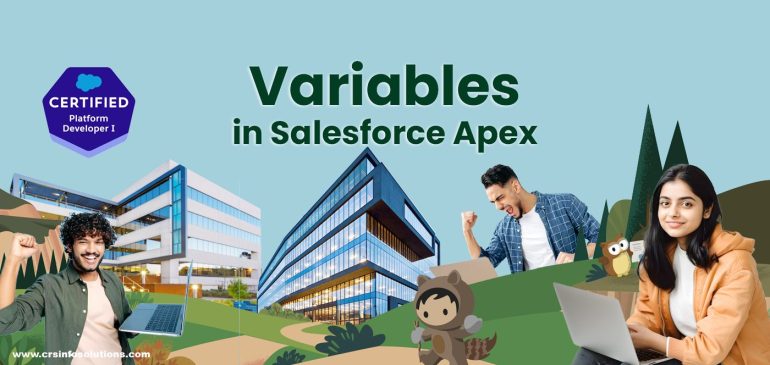 Variables in Apex programming in Salesforce