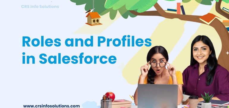 Understanding Roles and Profiles in Salesforce