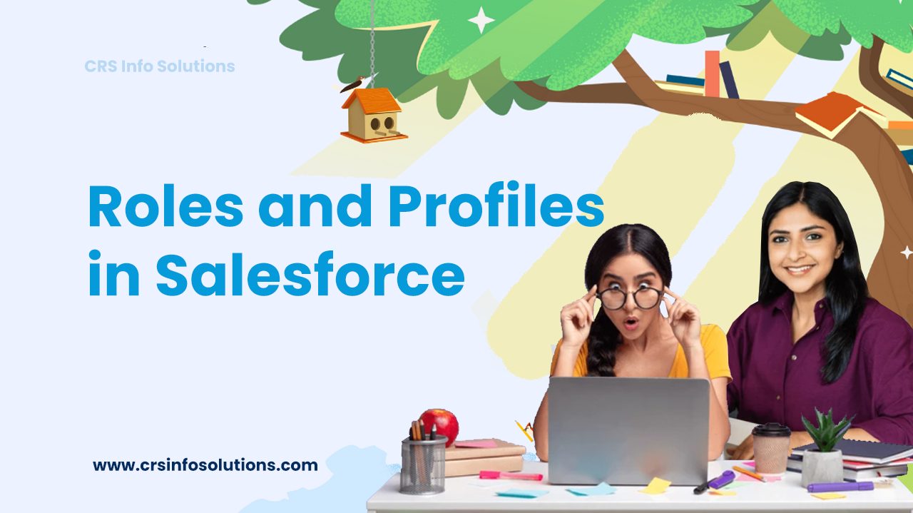 Roles and Profiles in Salesforce in 2024